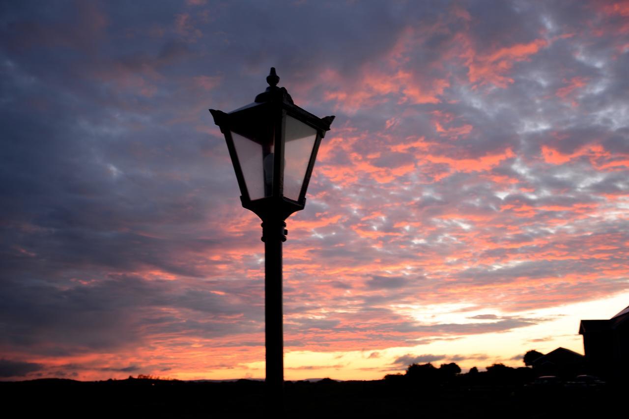 Bunratty Meadows Bed & Breakfast Zewnętrze zdjęcie