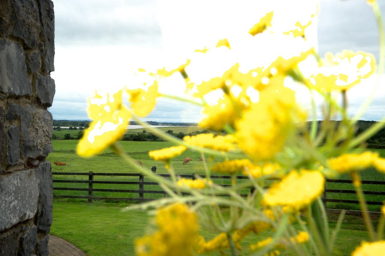Bunratty Meadows Bed & Breakfast Zewnętrze zdjęcie