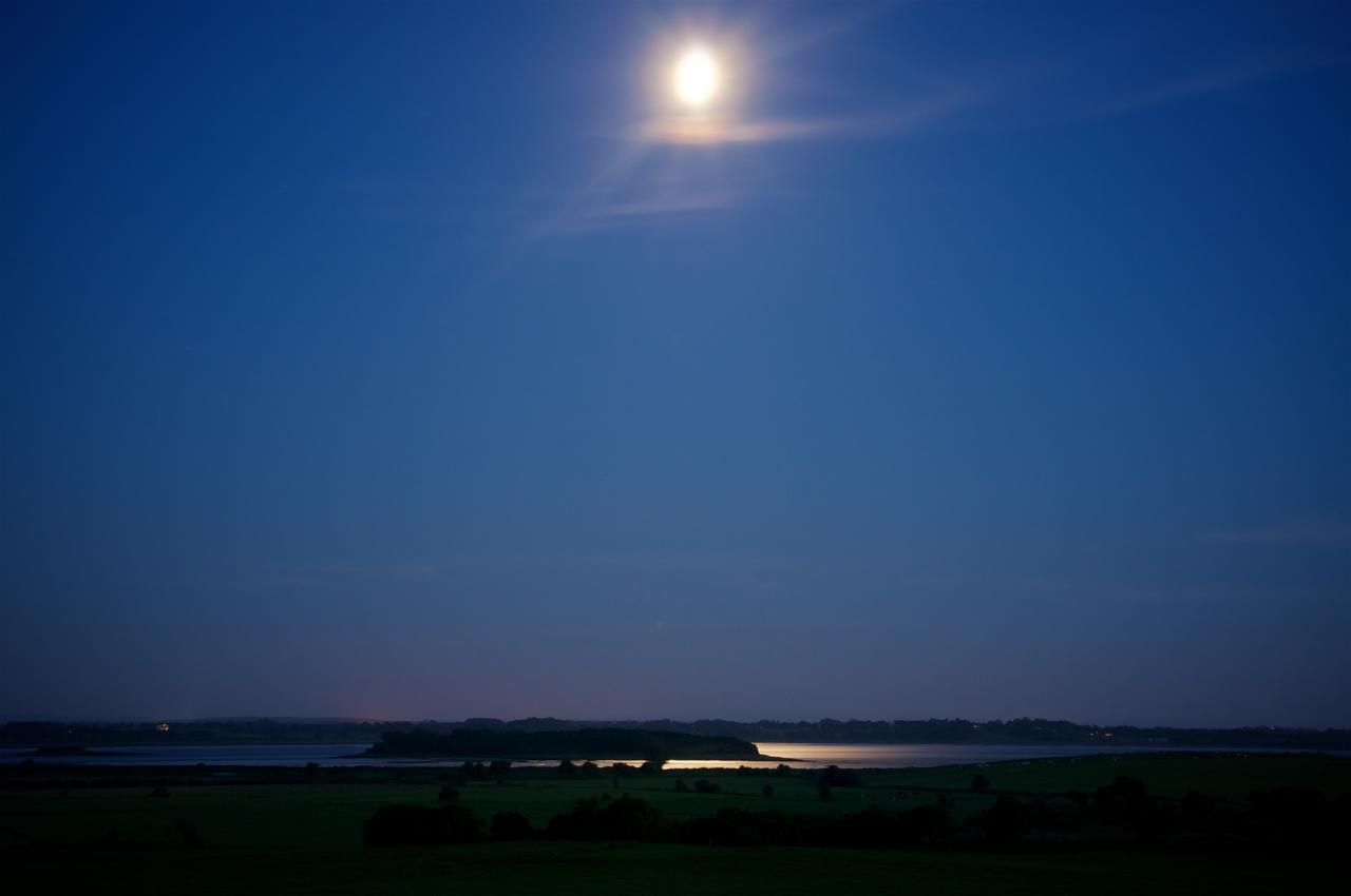 Bunratty Meadows Bed & Breakfast Zewnętrze zdjęcie